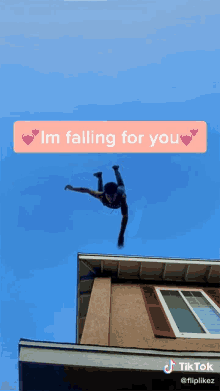 Im Falling For You Drop GIF - Im Falling For You Drop Freefall GIFs