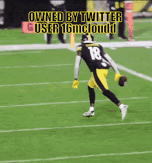 Steelers Owned GIF - Steelers Owned GIFs