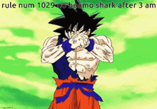 a cartoon of goku covering his face with his hands with the words rule num 10:29 no beamo shark after 3 am below him