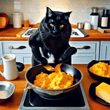 Cat Breakfast GIF - Cat Breakfast Cooking GIFs