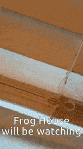 a frog is sitting on a window sill with the words frog house will be watching .