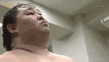 Shodai Sumo GIF - Shodai Sumo Disappointed GIFs