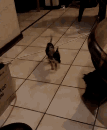 a box that says mango on it is on the floor