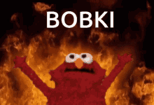 Bobki Horki GIF - Bobki Horki Mrtki GIFs