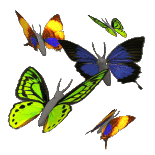 a group of colorful butterflies are flying in a circle on a white background