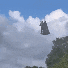 a zebra is flying through the air while a man watches