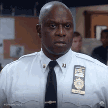 So What Whats Your Problem GIF - So What Whats Your Problem Captain Ray Holt GIFs