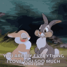 Thumper You Are My Everything GIF - Thumper You Are My Everything I Love You Soo Much GIFs