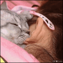 sucking kitten