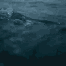 a person is swimming in the ocean with a shark in the background .