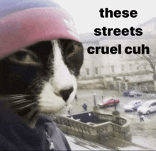 a cat wearing a hat with the words " these streets cruel cuh " on it