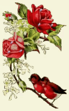 red birds flowers