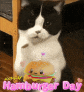 a black and white cat is standing next to a hamburger that says happy hamburger day on it