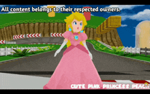 cute pink princess peach is standing on a road in a video game