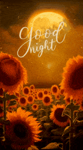 Good Night Sunflowers GIF - Good Night Sunflowers Alisa GIFs