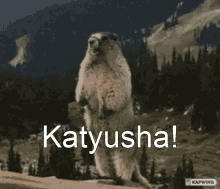 Katyusha GIF - Katyusha GIFs