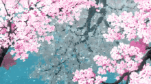 Cherry Blossoms Petals GIF
