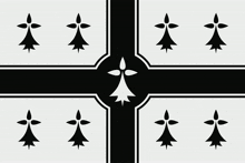 a black and white flag with a white flower in the middle