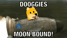 Dooggies Doge GIF - Dooggies Doge Dogecoin GIFs
