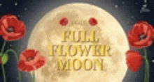 a full flower moon with red flowers in the foreground .