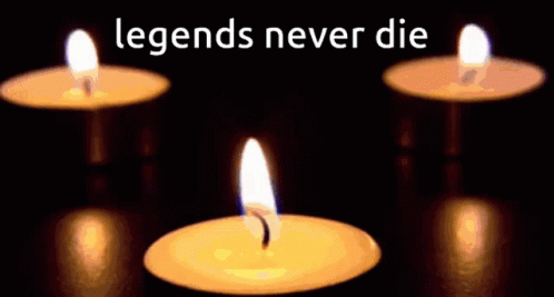 Rip GIF - Rip - Discover & Share GIFs