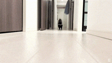 a black cat is walking down a hallway with a white floor