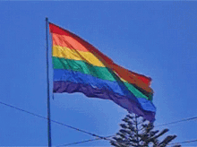 Waving Pride Flag Lgbtq GIF - Waving Pride Flag Pride Flag Lgbtq GIFs