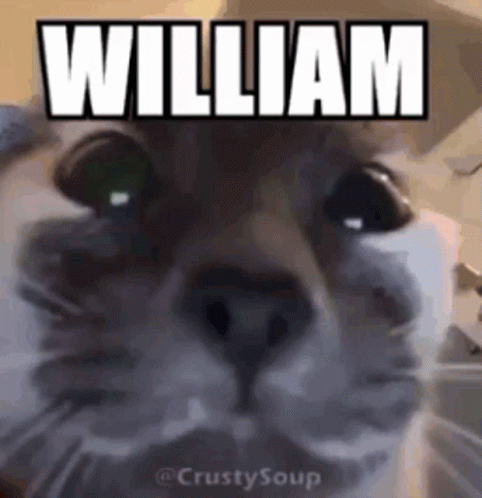 william meme