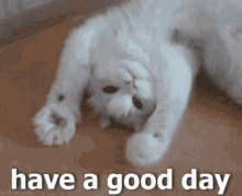 Cute Have A Good Say GIF