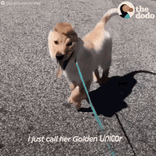 Dogs The GIF