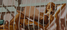 a woman in a bikini is laying on a chair reading a book