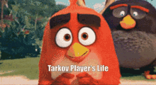 Tarkov Escape From Tarkov GIF