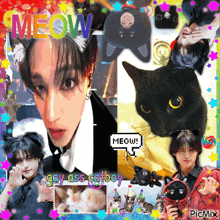 a picture of a man with cat ears and the words meow gay ass cat boy