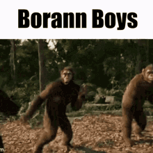 Borann Boys Elite GIF - Borann Boys Elite Dangerous GIFs