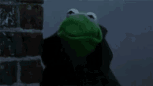 Evil Laugh Kermit GIF - Evil Laugh Kermit Evil Kermit GIFs