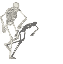 Dancing Skeleton GIF - Dancing Skeleton Dancing Skeleton GIFs