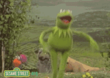 Kermit Kermit The Frog GIF - Kermit Kermit The Frog Flying GIFs