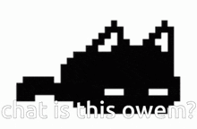 a black and white pixel art of a staircase with the words `` chat is this owem '' written below it .