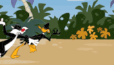 a cartoon of sylvester the cat and daffy duck on a beach