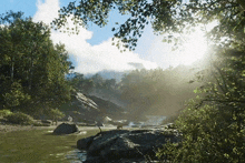 the sun is shining through the trees and a river