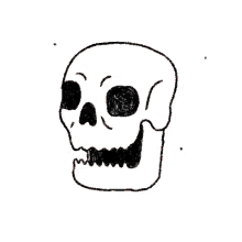 skull winky