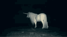 Unicorn White Horse GIF - Unicorn White Horse GIFs