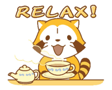 relax raccoon