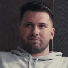 a man with a beard wearing a grey hoodie looks at the camera
