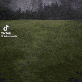 a painting of a field with mountains in the background and a tik tok logo