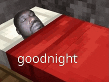 Goodnight Minecraft Meme GIF - Goodnight Minecraft Meme Shaq GIFs