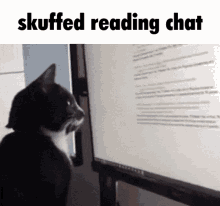 Skuffed Chat Reading GIF - Skuffed Chat Reading Reading GIFs