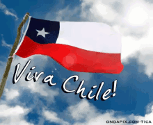 Viva Chile GIF