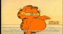 Fat Cat Garfield GIF - Fat Cat Garfield Tummy Full GIFs