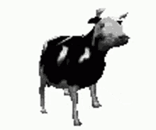 Cow Dancing GIF - Cow Dancing Animal GIFs